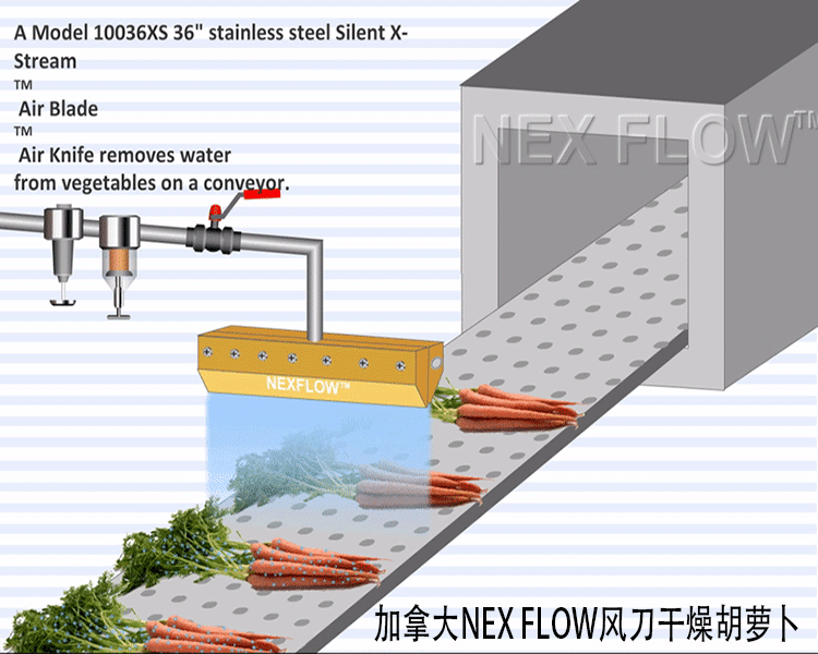 胡萝卜750+600-文字.gif 胡萝卜750+600-文字.gif